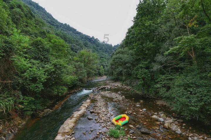 红海鸳鸯真假案(番外篇)