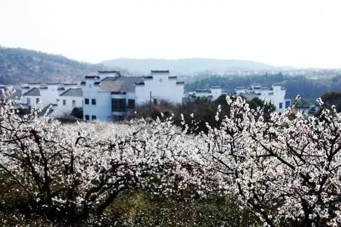 去年山东以工代赈带动群众务工16.2万人