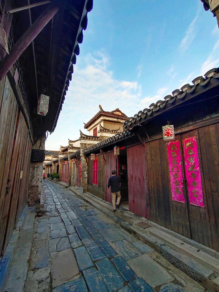 大熊猫楼生在小院里享受阳光,这造型妖娆又霸气